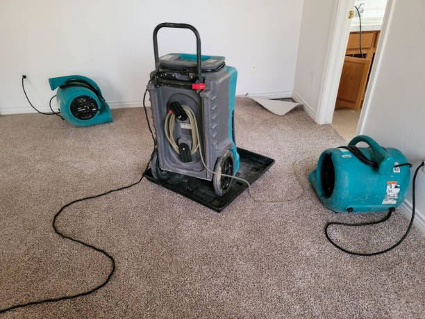 Best Wood Floor Water Damage Restoration in Lake Mills, IA