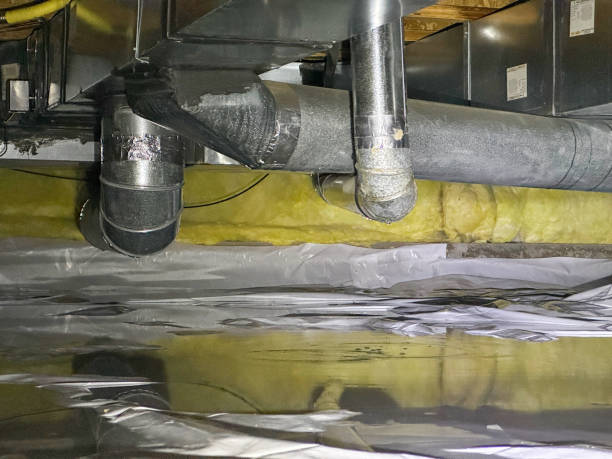 Best Odor Removal and Sanitization After Water Damage in Lake Mills, IA